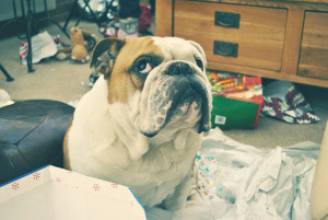 Is The ATM Cash Counting Sound Fake?