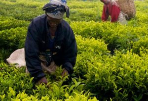 👨🏿‍🚀TechCabal Daily – A $10 million farm