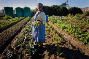 Why Africa Needs More Agritech Entrepreneurs