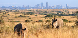 An Overview Of What Social Innovation Looks Like In East Africa