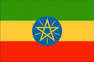 TechCabal Daily – 12 countries, 2 telecoms licenses: who will win the race for Ethiopia?