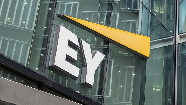 TechCabal Daily, 828 - Ernst & Young Partners With Open Banking Nigeria To Develop And Promote Standard API For Financial Sector