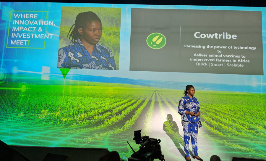 Meet Cowtribe, the startup aiming to solve Africa’s animal vaccination problem