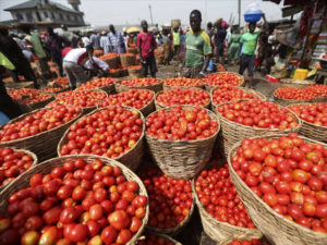 Nigerian agric company, Tomato Jos raises €3.9 million for irrigation and processing plant