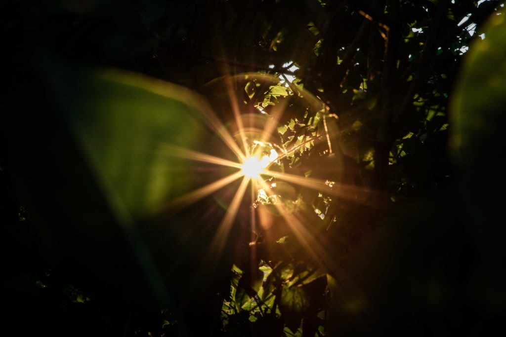 Living on The Covid Side of Life: The New Normal and The Rise of Gig Economic Platforms in Africa.