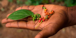 TechCabal Daily – A $4bn loss ⬇