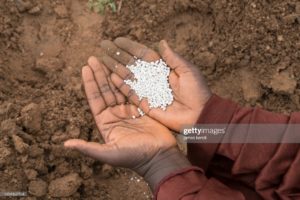 The Next Wave: Can agriculture lift Nigerians out of poverty?