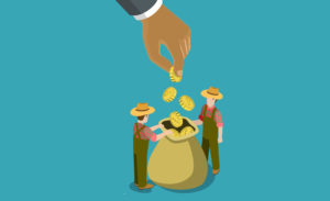 From celebrated platforms to fraud claims: Why Nigeria’s agric crowdfunding fintechs came crashing down