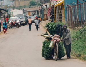 The Next Wave: Who will feed Africa?