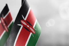 Two small Kenyan flags