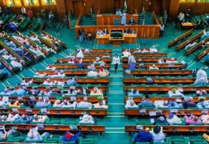 Nigeria’s House of Reps passes the Nigeria Startup Bill