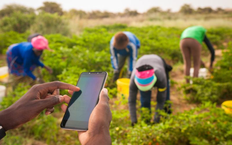 A new crop of African farmers are leveraging social media to scale