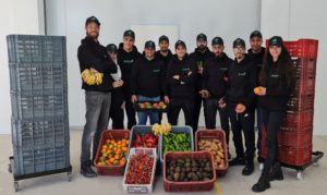 Terraa raises $1.5 million pre-seed round to bring safe and affordable food to Africa