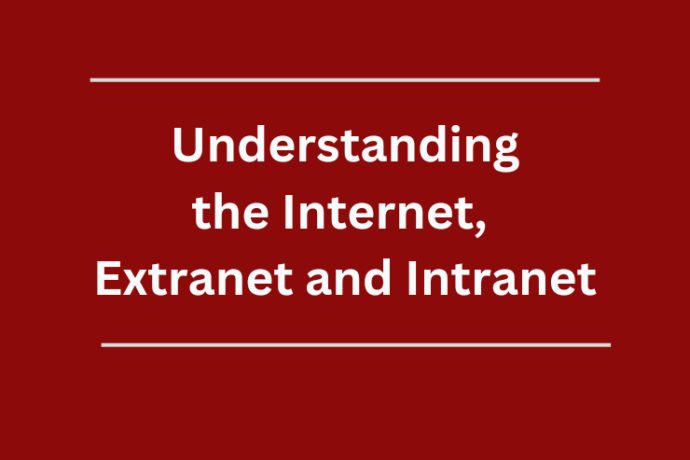You know the internet, how about extranet and intranet? | TechCabal
