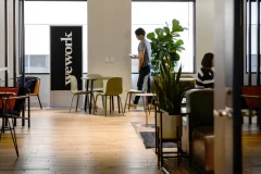 wework south africa