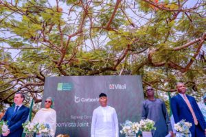 Nigeria’s sovereign wealth fund is setting up a carbon credit market