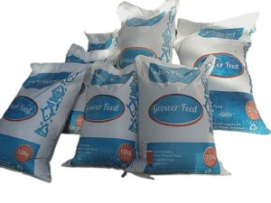 Tanzanian startup NovFeed wins $1 million grant from Milken Institute & Motsepe Foundation