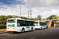 BasiGo buses