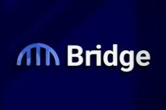 Bridge Network logo