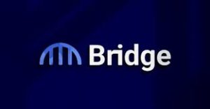 Exclusive: Cofounders of FTX-backed Bridge Network split after power tussle