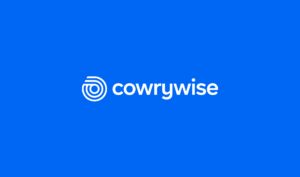 Exclusive: YC-backed Cowrywise insists recent employee terminations were linked to performance reviews