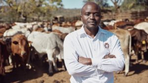 Exclusive: We did our due diligence, says Livestock Wealth investors