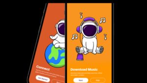 👨🏿‍🚀TechCabal Daily – Astrotwig loses $20,000 to investment scam