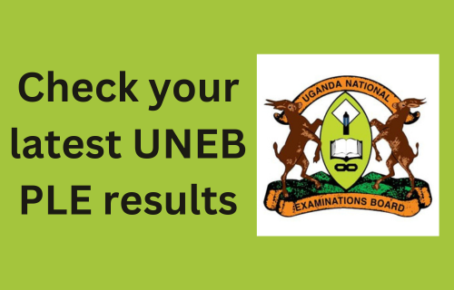 Check your 2024 UNEB PLE results