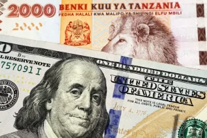 Tanzania will sell US dollars to commercial banks to address foreign currency shortages