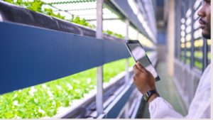 Village Capital invests $850,000 in two African Agtech startups