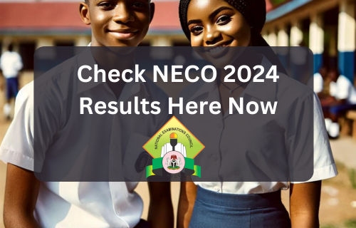 Check new 2024 NECO results now with picture of Nigerian Students picture and neco logo