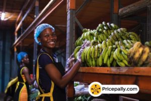 PricePally bets on grocery exports and AI after B2B slump