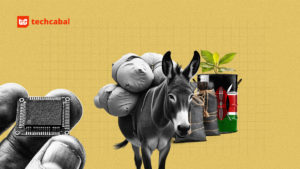 In rural Kenya, donkeys are now microchipped, insured, and protected