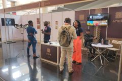 Adaobi Orajiaku, Atsur CEO (pictured standing from the right side of the screen), speaking with conference attendees at the 2024 AfriLabs Conference, Rwanda