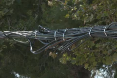 Telecom operators wants stiffer penalties on vandalism