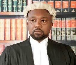 Osita Oparaugo as a lawyer