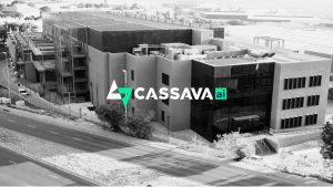 Cassava’s AI exchange connects African telcos to OpenAI, Google, and Anthropic