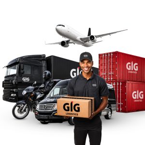 Beyond delivery: How GIG Logistics Technologies limited is building the infrastructure powering African trade
