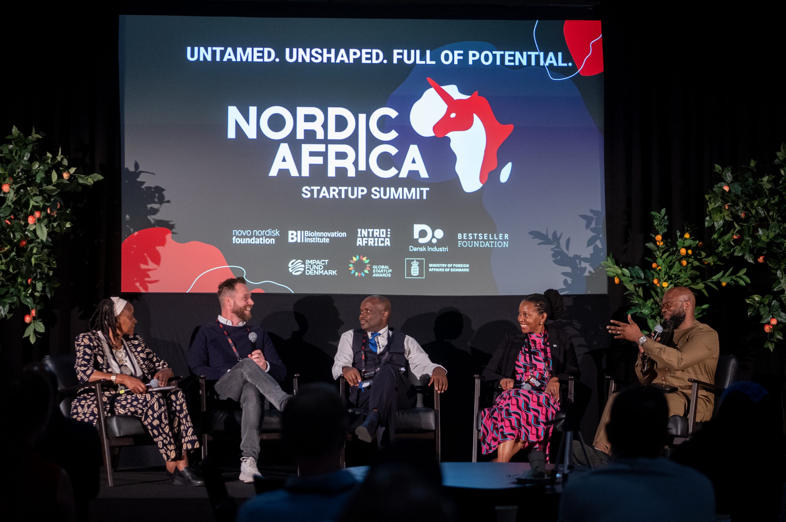 Danish TechBBQ secures grant to connect Nordic investors with African startups