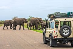 The missing infrastructure behind Africa’s growing tourism economy