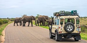 The missing infrastructure behind Africa’s growing tourism economy