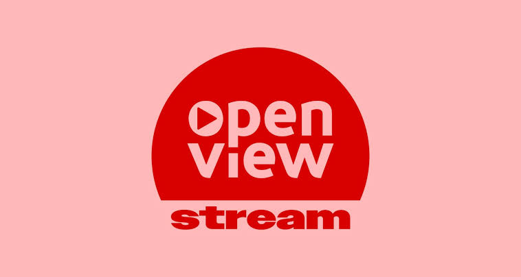 👨🏿‍🚀TechCabal Daily – Openview and watch ads
