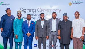 YC-backed startup ThriveAgric raises $3.93 million in commercial paper sale