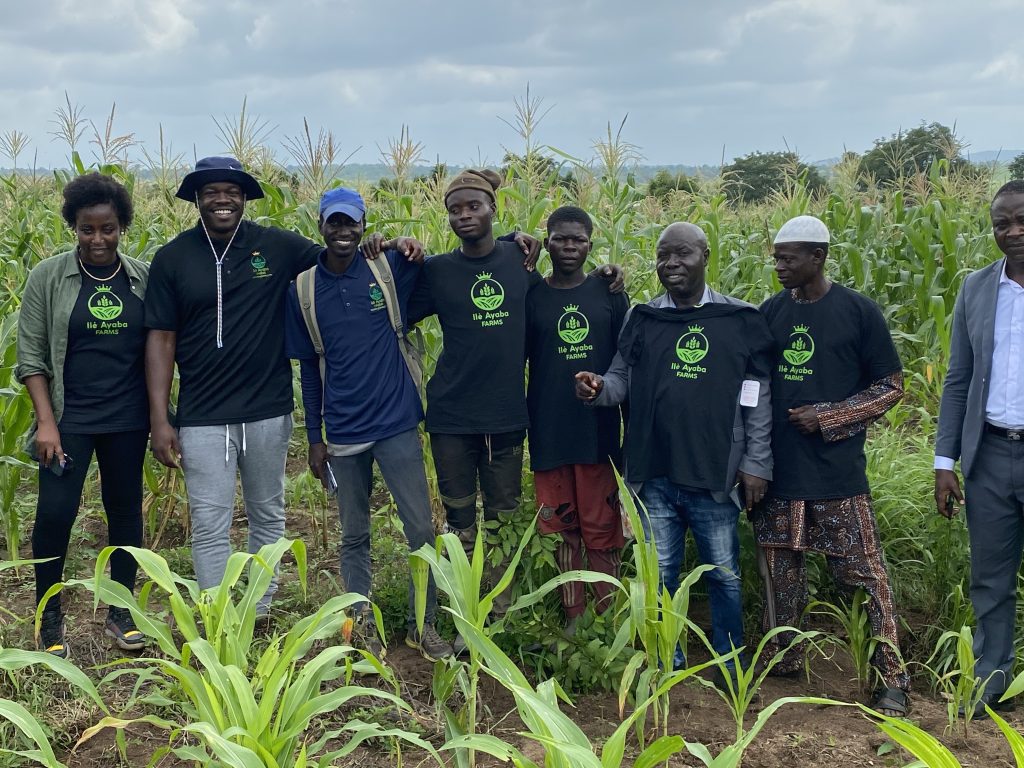 The $6.8M credit engine hidden inside a Nigerian cassava patch 