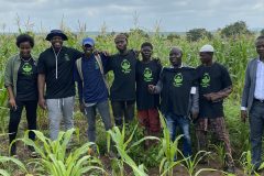 The $6.8M credit engine hidden inside a Nigerian cassava patch 