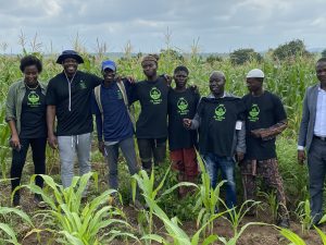 The $6.8M credit engine hidden inside a Nigerian cassava patch 